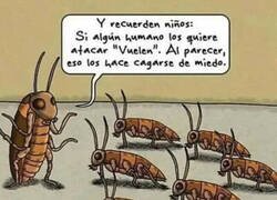 Enlace a Si lo hacen de repente, más todavía