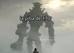 Enlace a Muy alto para ellas, muy bajo para ellos