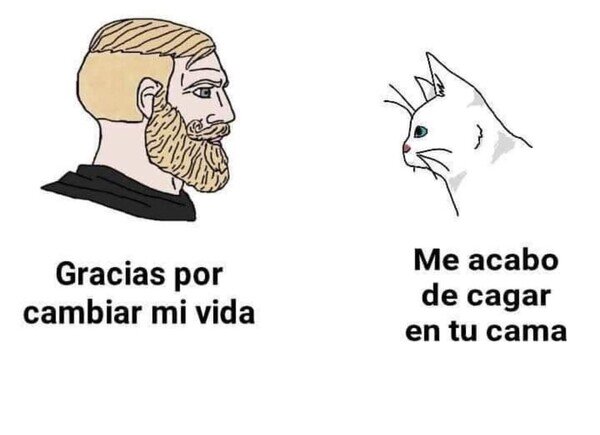 Meme_otros - No hay de qué