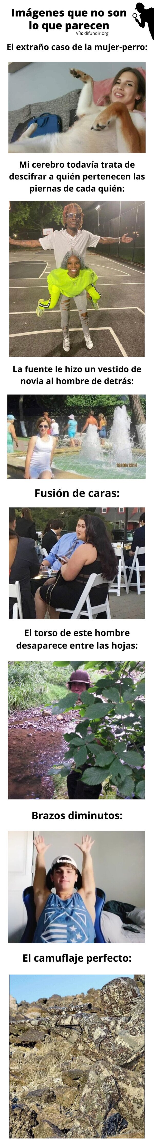 Meme_otros - Imágenes que no son lo que parecen