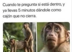 Enlace a ¿Cómo dices?