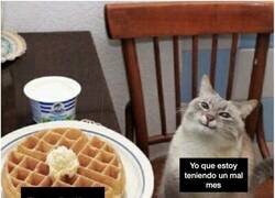 Enlace a Pequeños detalles que te hacen el día