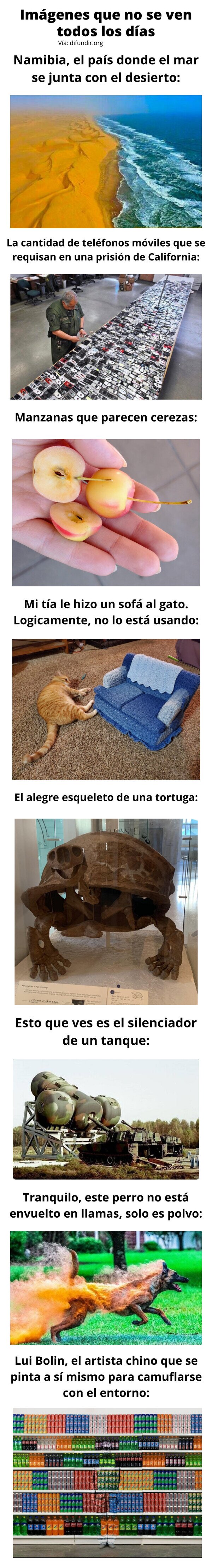 Meme_otros - Imágenes que no se ven todos los días