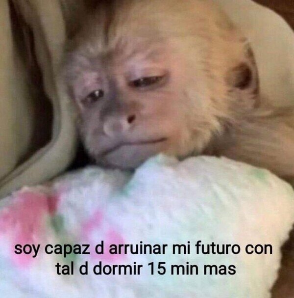 Meme_otros - Sí, soy