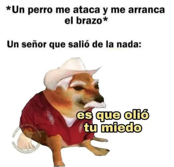Meme_otros - Todavía tendré la culpa