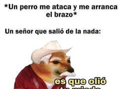 Enlace a Todavía tendré la culpa