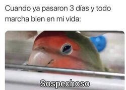 Enlace a Algo tiene que salir mal...