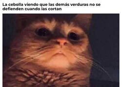 Enlace a Esta al menos te hace llorar