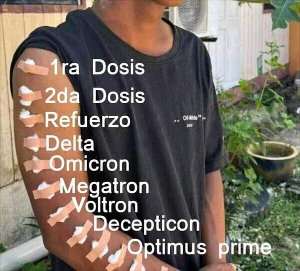 Meme_otros - La pauta completa