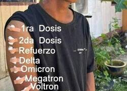 Enlace a La pauta completa