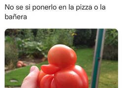 Enlace a El patomate