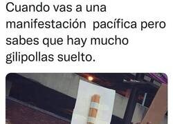 Enlace a Por si acaso