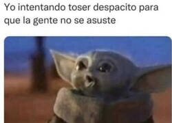 Enlace a Perdón, no tengo covid...