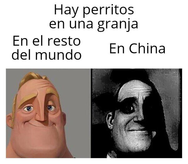 Meme_otros - No son perros pastores