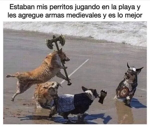 Meme_otros - El mágico mundo de la edición