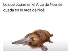 Enlace a Algo extraño pasó ahí