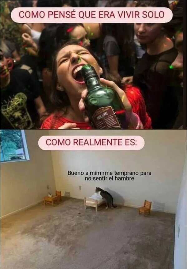 Meme_otros - Es más precario de lo que parece