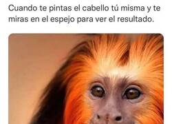 Enlace a ¿Por qué no pedí la ayuda de nadie?