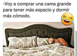 Enlace a Nunca consigo dormir bien