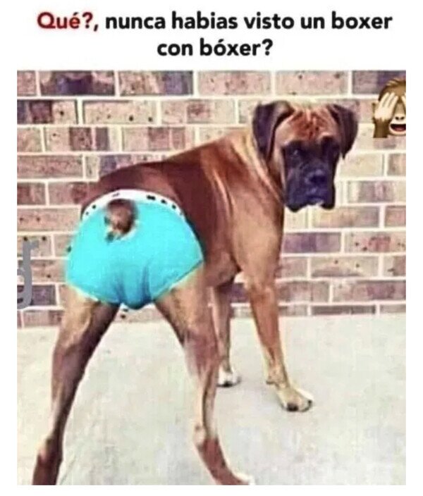 Otros - Ya puedes seguir bajando