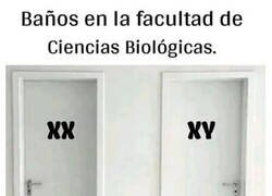 Enlace a Quién estudió, entendió