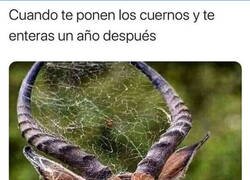 Enlace a Infidelidad caducada