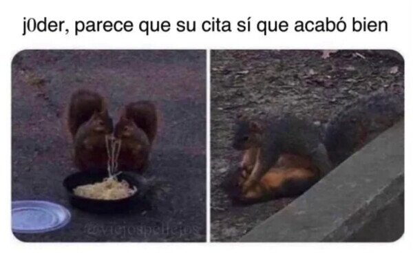 Meme_otros - Hoy se triunfa