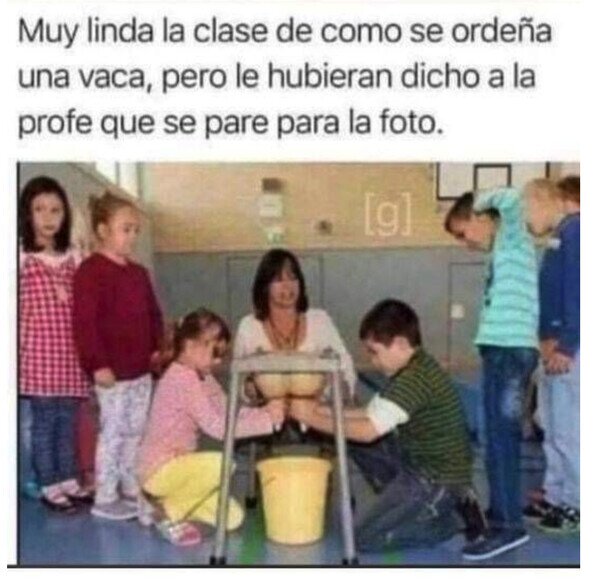 Otros - Profe, échese a un lado