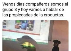 Enlace a Firulais tiene presentación