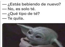 Enlace a Solo bebo té