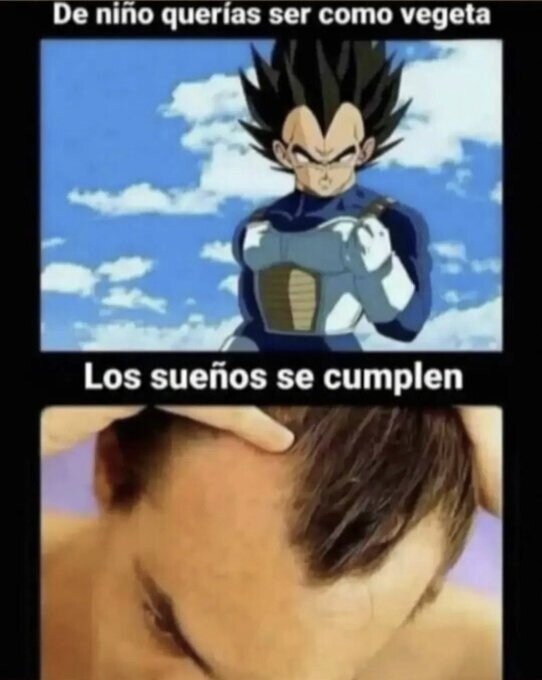 Meme_otros - Mi sueño hecho realidad