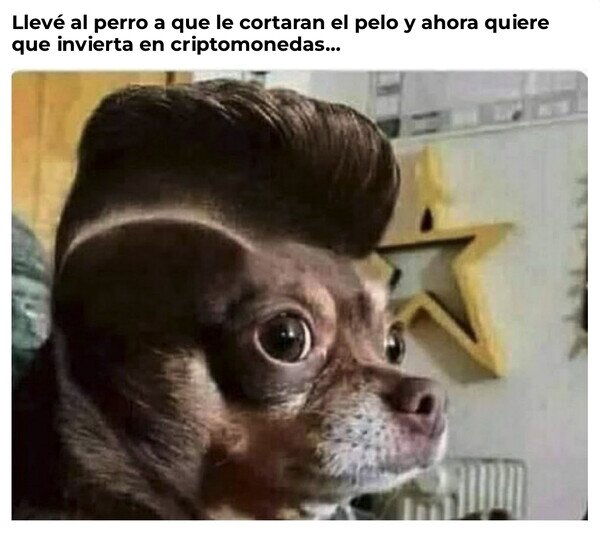 Otros - Quiere que sea mi propio jefe