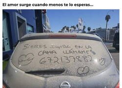 Enlace a Flechazo inesperado