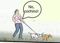 Enlace a Hipocresía humana