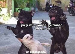 Enlace a Ocurre en las mejores fiestas