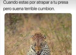 Enlace a La caza puede esperar