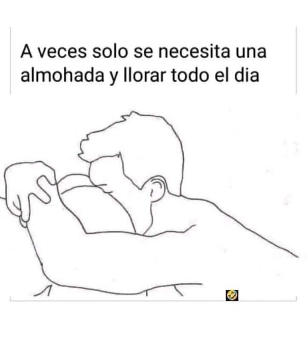 Meme_otros - Lo único que necesito