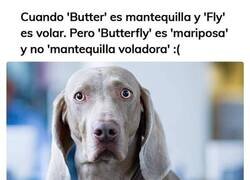 Enlace a El inglés no hay quien lo entienda