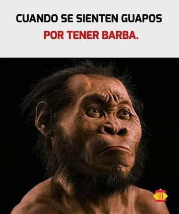 Meme_otros - La barba no hace milagros