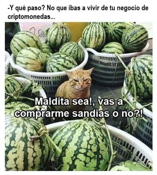 Meme_otros - Mi amigo el arruinado