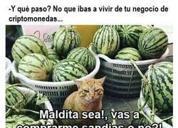 Enlace a Mi amigo el arruinado