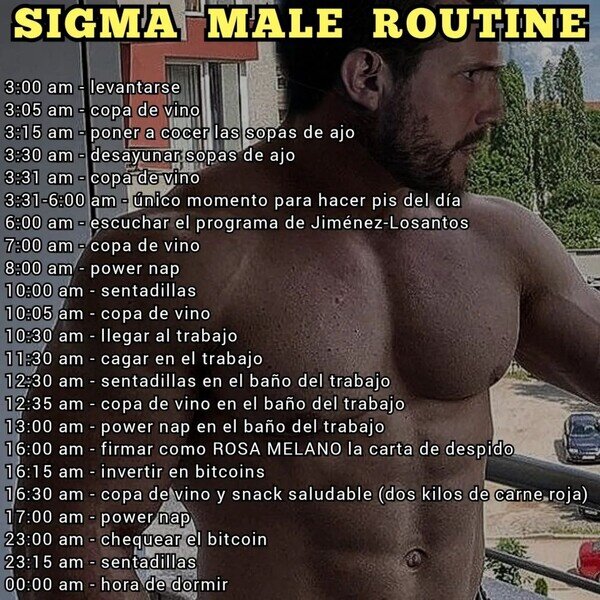 Meme_otros - La rutina de un verdero macho alfa