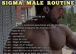 Enlace a La rutina de un verdero macho alfa