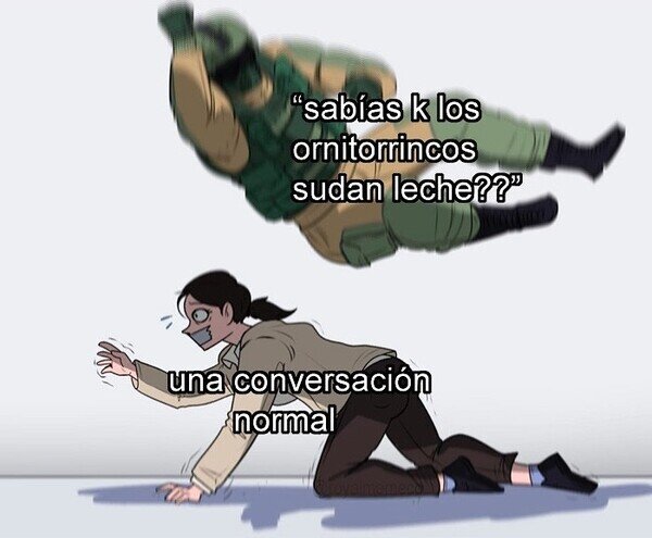 Meme_otros - ¿Por qué dije eso?