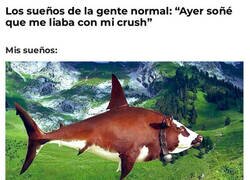 Enlace a Sueño cosas raras