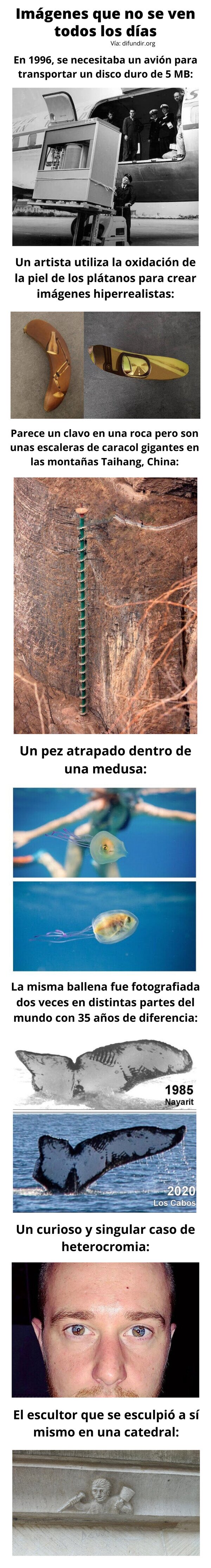 Meme_otros - Imágenes que no se ven todos los días