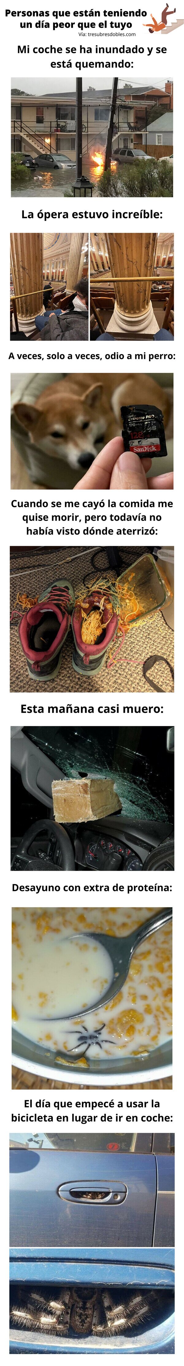 Meme_otros - Personas que están teniendo un día peor que el tuyo