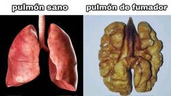 Enlace a Tan solo es una nuez