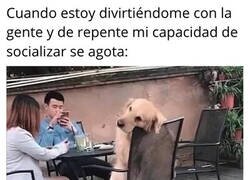 Enlace a Desconexión social