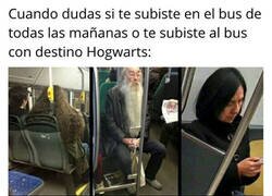 Enlace a ¿Hacia dónde estoy yendo?